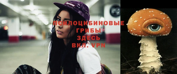 дмт Алзамай