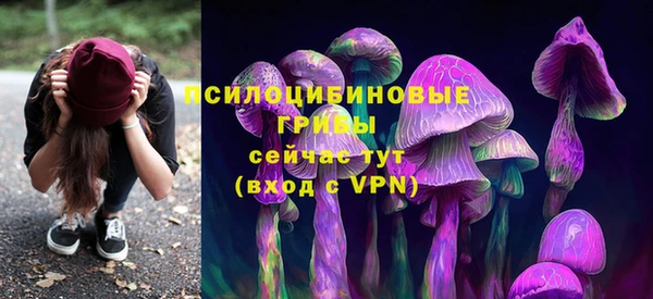 ПСИЛОЦИБИНОВЫЕ ГРИБЫ Медногорск