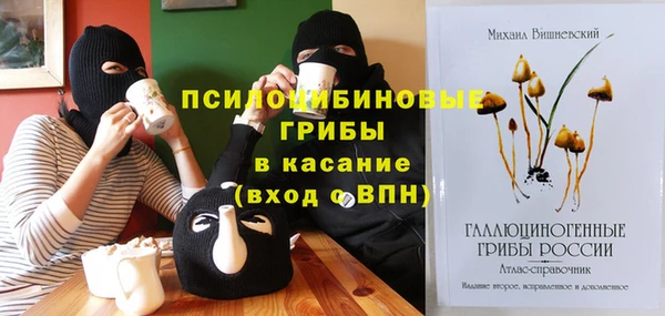 первитин Медвежьегорск