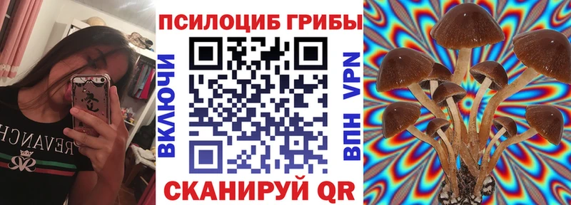 Галлюциногенные грибы MAGIC MUSHROOMS  даркнет сайт  Апрелевка 