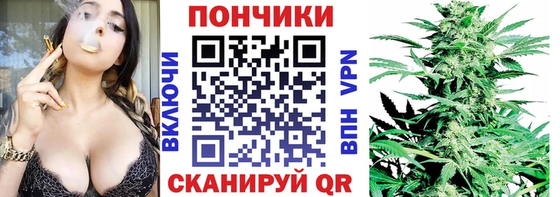 Конопля сатива  дарнет шоп  Апрелевка 